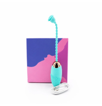 Zestaw Rose Loop Aqua – wibrator jajeczko, kabel USB i opakowanie produktu