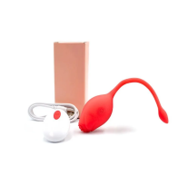 Wibrator jajeczko z akcesoriami i eleganckim opakowaniem