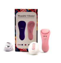 Zestaw: wibrator, pilot, kabel USB